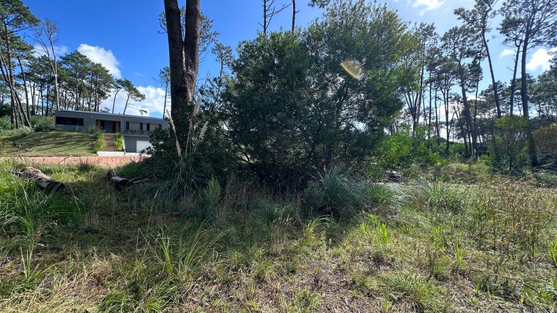 Lote en venta en La Reserva de Montoya